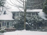 Schneider Residence