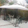 Golden Apricot Manor, Inc