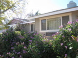 Julia's Cottage