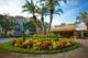 Royal Palms