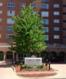Gramercy Park Cooperative at Lake Shore Drive