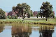 Oak Trace