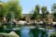 The Madison