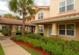 Windward Palms