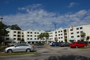 Brookdale Mandarin