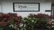 Personal Homecare Svc