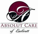 Absolut of Endicott