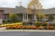 Autumn Leaves of Vernon Hills