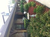 Silver Ridge Assisted Living