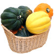 Acorn squash with dates