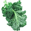 Bean and kale ragu