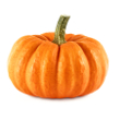Black bean and pumpkin dip