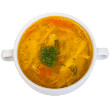 Chicken tomatillo soup