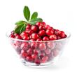 Cranberry feta wrap