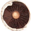 Ginger-marinated grilled portobello mushrooms