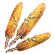 Grilled barbecue corn