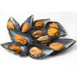 Mussels mariniere