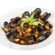 Mussels south of two borders