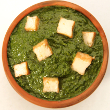 Palak paneer
