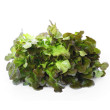 Sauteed leafy greens